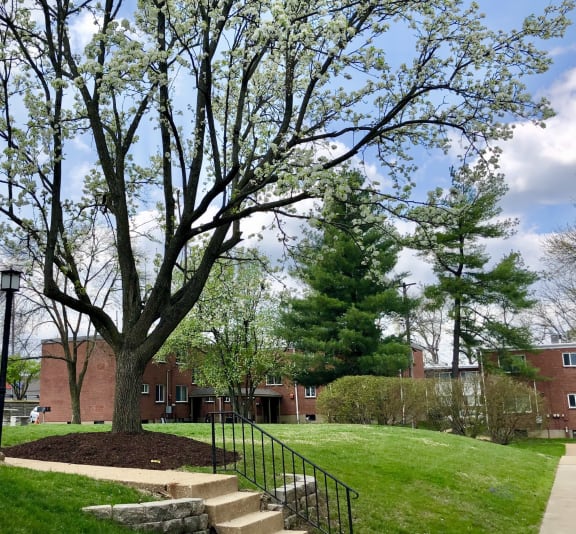 Photos and Video of Olive Pointe Apartments in Olivette, MO